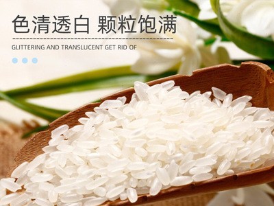 厂家直批2020年东北五常大米稻花香米5kg-张(价格面议)图4