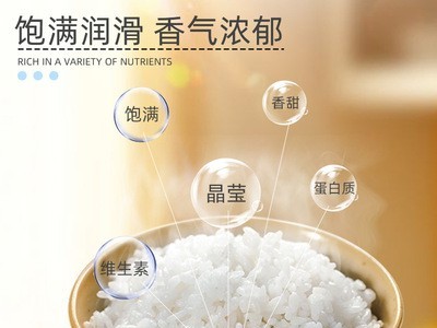 厂家直批2020年东北五常大米稻花香米5kg-张(价格面议)图2