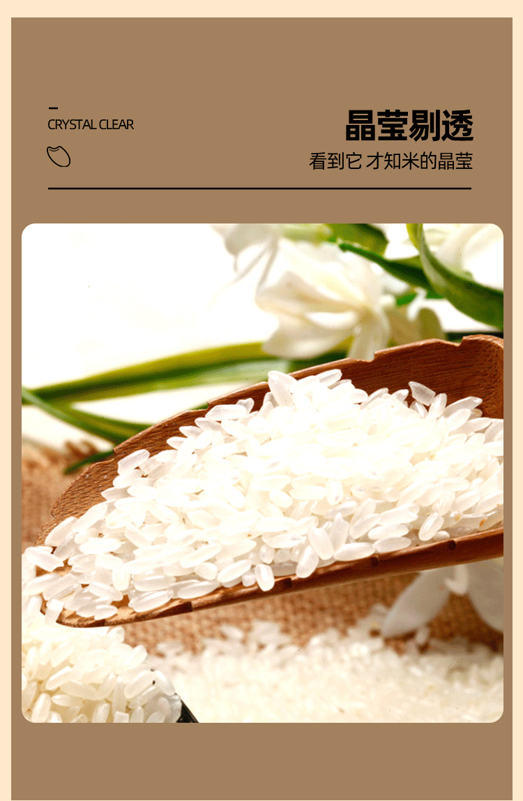 黄色稻花香二号_10.png