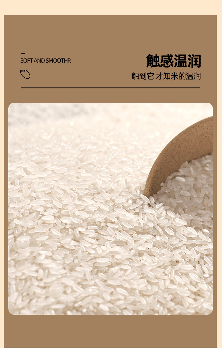 黄色稻花香二号_11.png