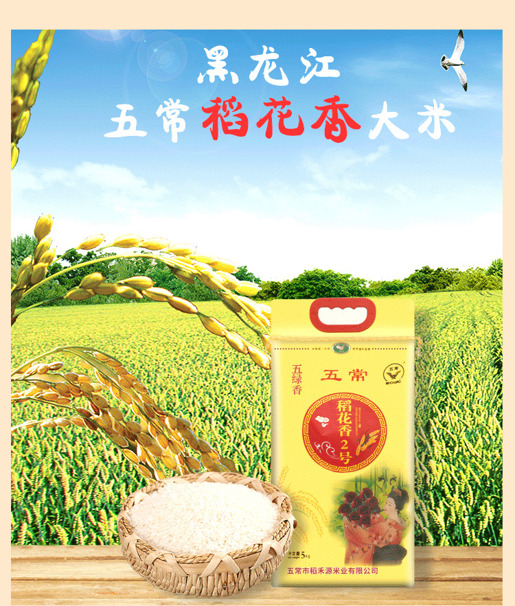 黄色稻花香二号_04.png