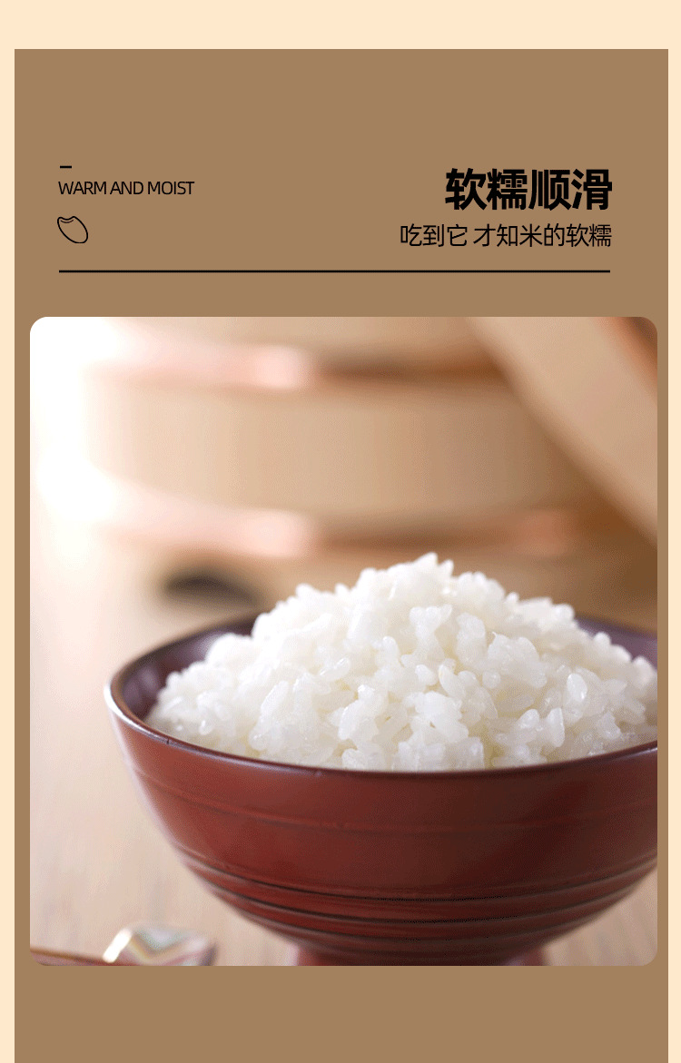 黄色稻花香二号_06.png