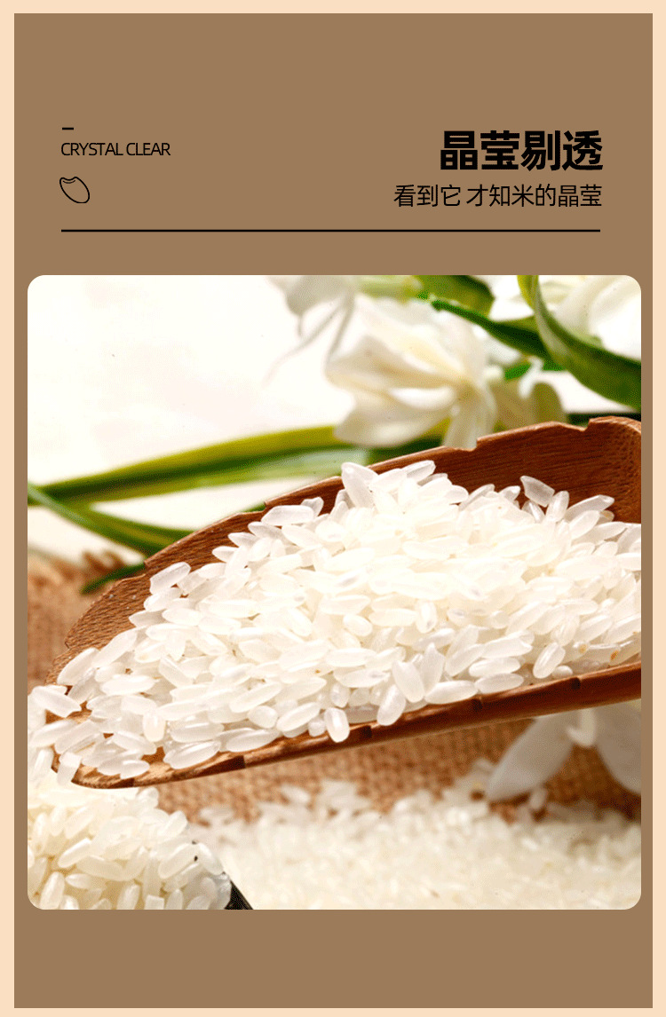 有机大米_10.png