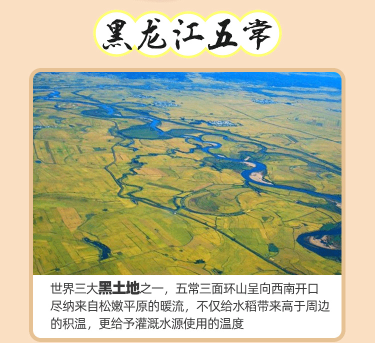 有机大米_05.png