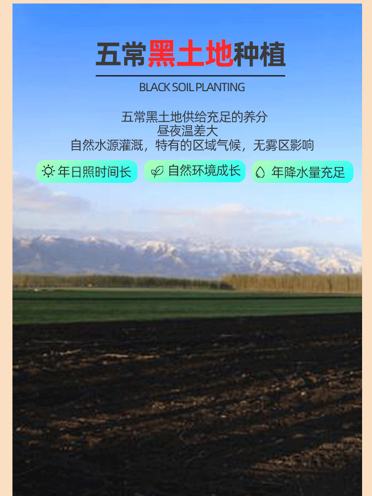 有机大米_08.png