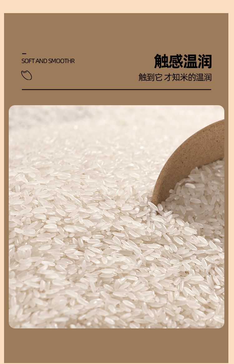有机大米_11.png