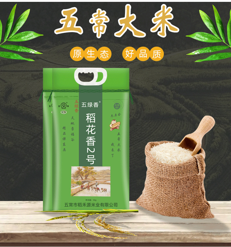 水稻详情1（绿）_03.png