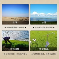 厂家直批 东北大米珍珠米5kg大米10斤 厂家直售