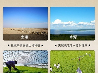 吉粒丰长粒香米东北大米 厂家直售批发（价格面议）图2