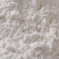 厂家直供山东面粉 金粒园真精道雪花粉 厂家直销