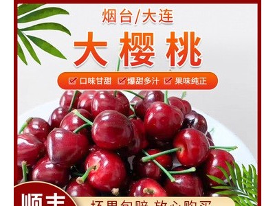 【加工定制】静和新鲜水果批发山东烟台大樱桃大连车厘子美早2斤图5