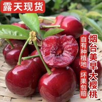 【露天现货】新鲜水果批发山东烟台大樱桃美早国产车厘子1-2.5斤