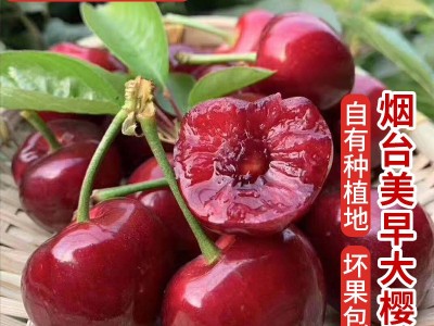 【露天现货】新鲜水果批发山东烟台大樱桃美早国产车厘子1-2.5斤图4