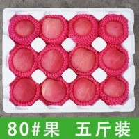 山东红富士新鲜当季脆甜可口烟台苹果 冰糖心苹果水果批发代发