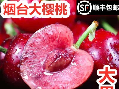 批发烟台大樱桃顺丰当季新鲜孕妇水果车厘子5斤山东美早红灯产地图4