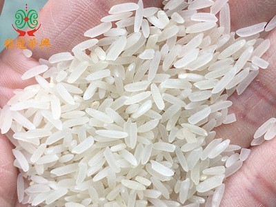 厂家出售 广东台山六星丝苗米 10kg一级非抛光大米 一件代发图5