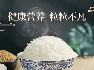 高氏禾田稻花香大米东北特产当季新米5kg 10斤袋厂家直批代发图4