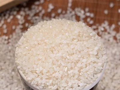 厂家批发高氏禾田东北大米5kg10kg25kg珍珠米当季新米黑龙江大米图4