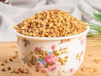 现货供应苦荞茶熟的黑苦荞茶500g包装图5
