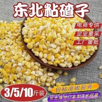 东北粘糯玉米大碴子粥用5斤散装黏苞米茬农家自产杂粮3/5/10斤