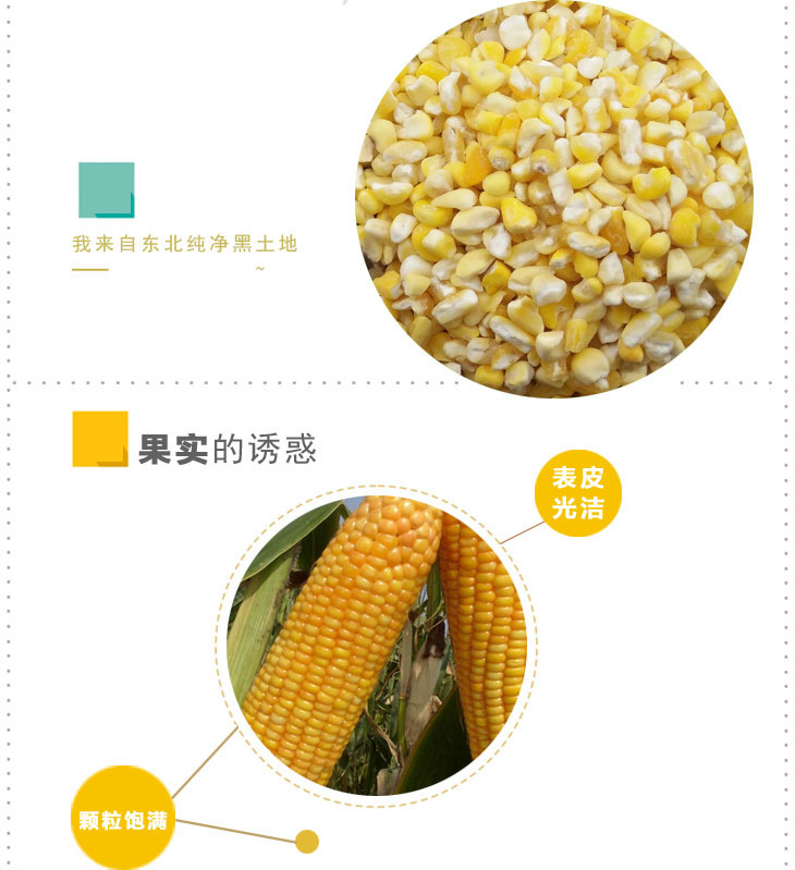 玉米碴_03.jpg