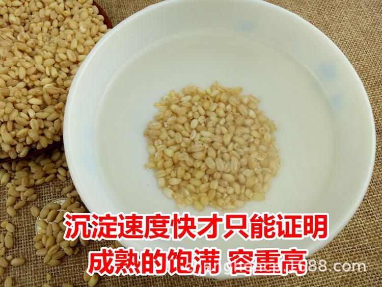 详情3.jpg