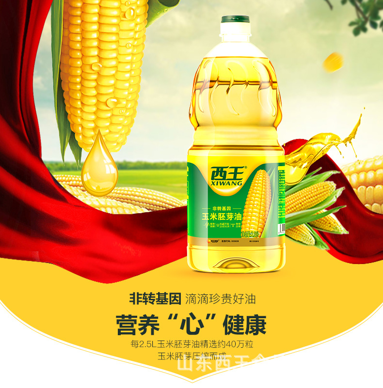 普胚2_02.jpg
