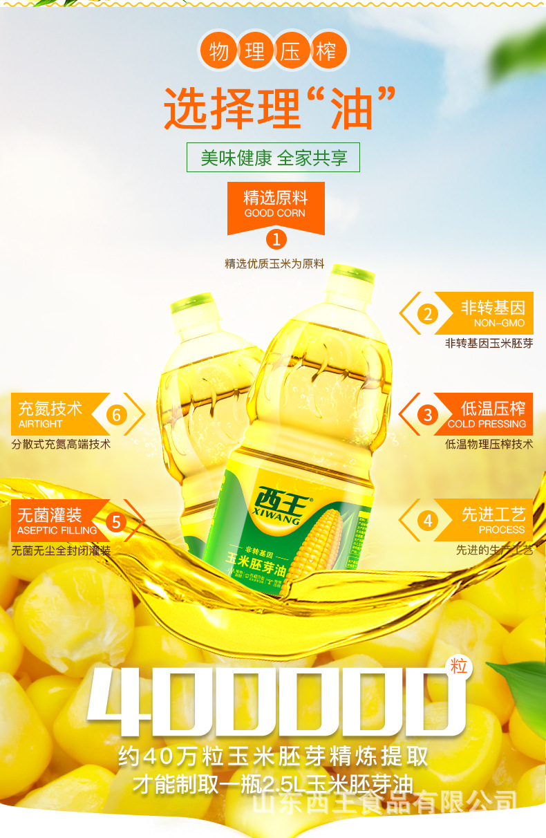普胚2_07.jpg