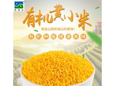 山西特产黄小米新小米有机小米农家杂粮小黄米宝宝辅食月子粥6斤图2