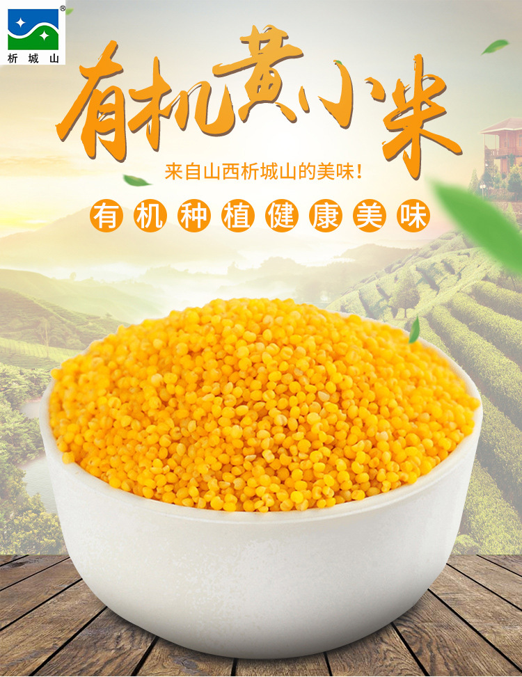 O1CN01a1SXsF1oJ1K88lqSY_!!1758