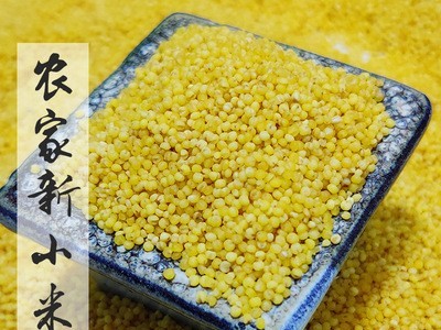 原产地黏黄小米新米五谷杂粮小米粥月子米含硒米脂5斤装图3