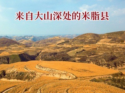 米鲜森陕西米脂小米批发真空包装500g*5 小黄米黄小米月子米图5