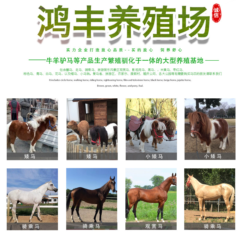 鸿丰马详情页_02.jpg