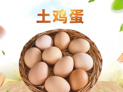 散养土鸡蛋礼盒装50枚鲜蛋放养柴鸡蛋草鸡蛋 量大优惠图1