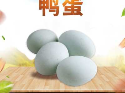 鸭蛋 批发直销 质量可靠 量大价优（价格面议）图2