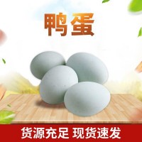 鸭蛋 批发直销 质量可靠 量大价优（价格面议）