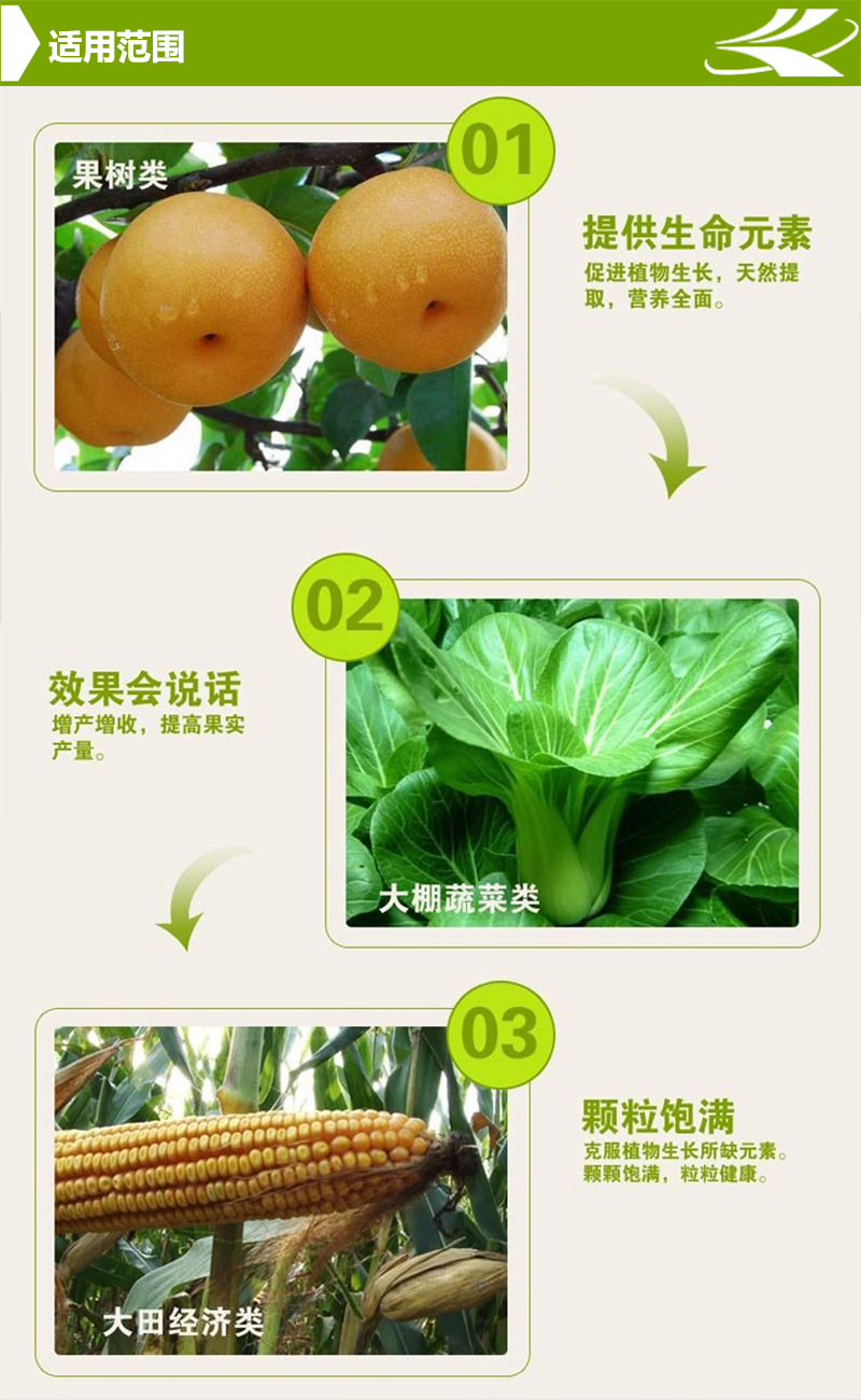 详情页 2.jpg