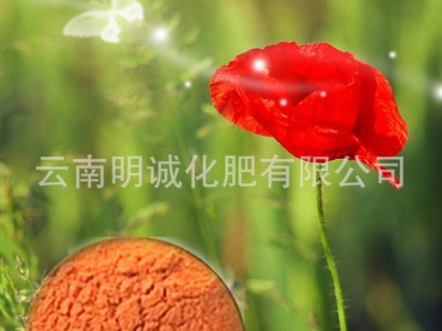 多肽酵母有机肥图2