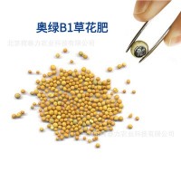 进口 奥绿肥草花肥 控释肥 绿化切花盆栽 花坛植物通用缓释复合肥
