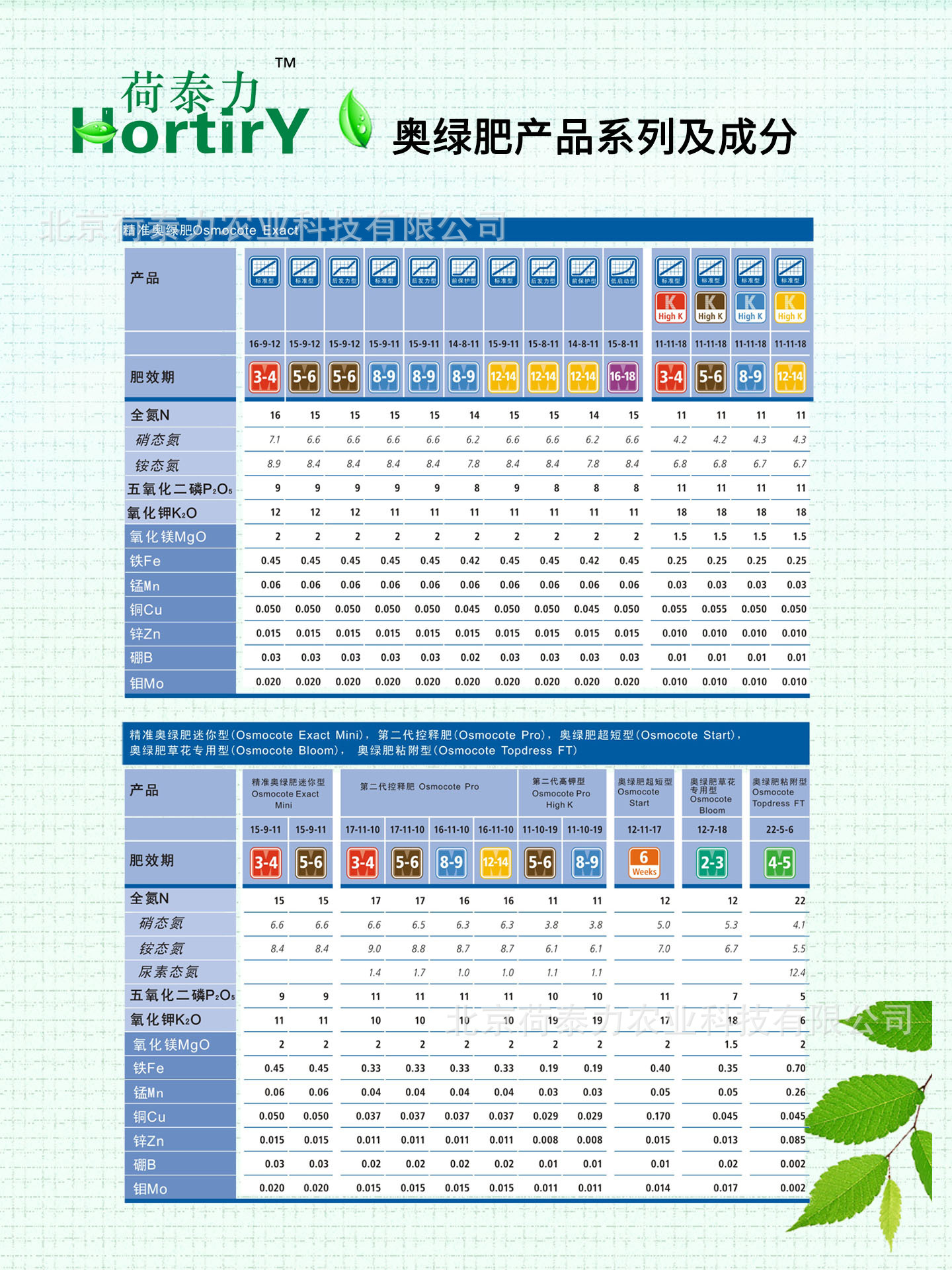 奥绿草花，图4.jpg