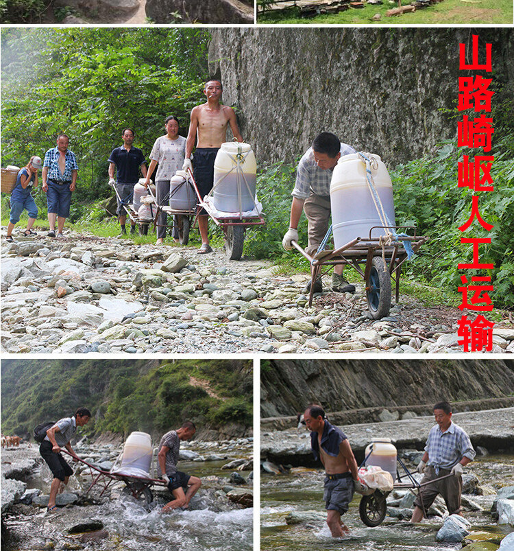 500克土蜂结晶详情2_04