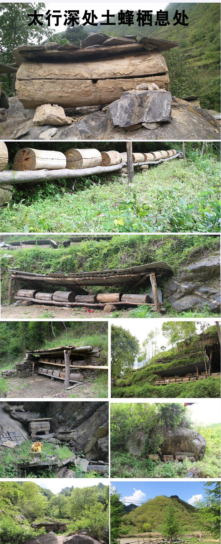 500克土蜂结晶详情2_03