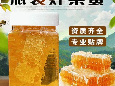 蜂产品厂家蜂蜜批发巢蜜农家土特产蜜糖贴牌土蜂蜜500g成熟蜂巢蜜图4