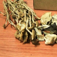 庆元特产食用菌礼包发公司福利过年送礼有香菇黑木耳草菇茶树菇