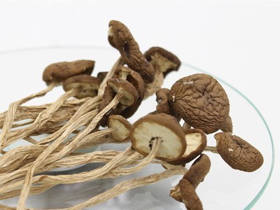 益尔 农家新货茶树菇干货批发茶薪菇不开伞煲汤茶树茹500g图2