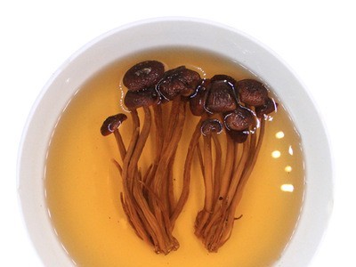 益尔 农家新货茶树菇干货批发茶薪菇不开伞煲汤茶树茹500g图4