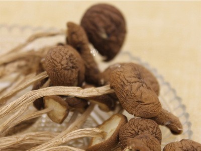 益尔 农家新货茶树菇干货批发茶薪菇不开伞煲汤茶树茹500g图3