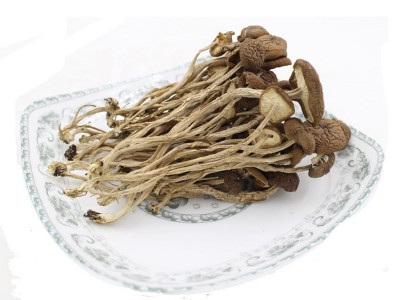 益尔 农家新货茶树菇干货批发茶薪菇不开伞煲汤茶树茹500g图5