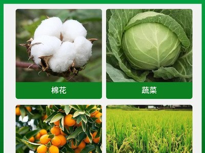 甲维盐氟铃脲 水稻 稻纵卷叶螟钻心虫棉花棉铃虫菜青虫果树杀虫剂图3