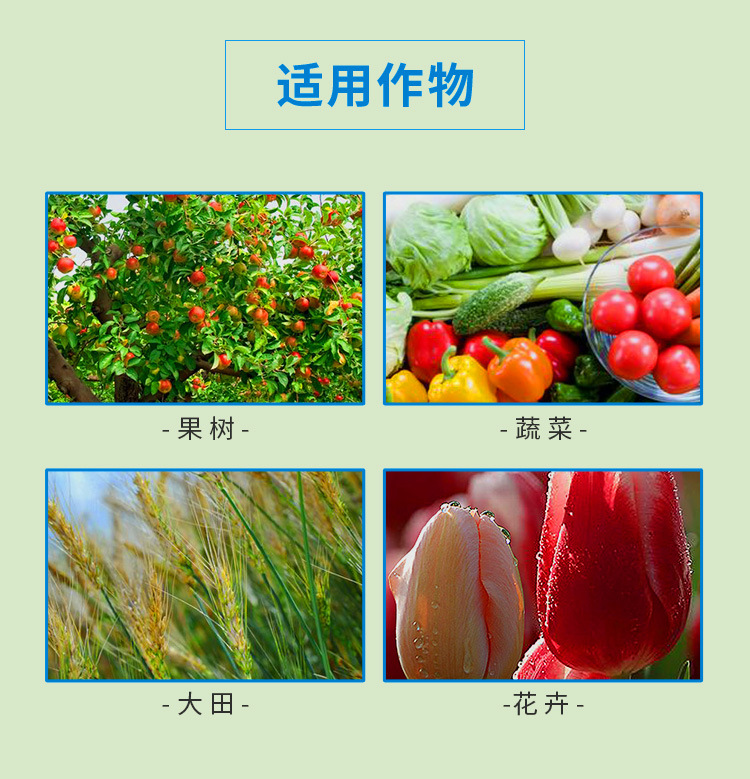 A韭达详情_06.jpg